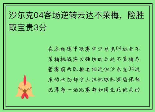 沙尔克04客场逆转云达不莱梅，险胜取宝贵3分